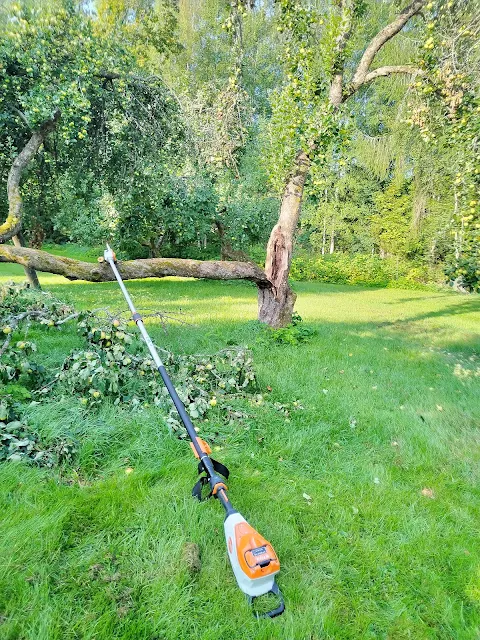 #Tampereen #pihatyöt #puutarhatyöt #omenapuiden #pihapuiden #pensasaitojen #ruohikoiden #leikkaukset Talonmiespalvelu@gmail.com 044-3380291 tilaukset tiedustelut kuva20