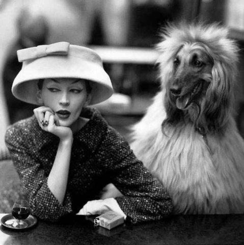 Richard Avedon My Favorite Photographer Ever