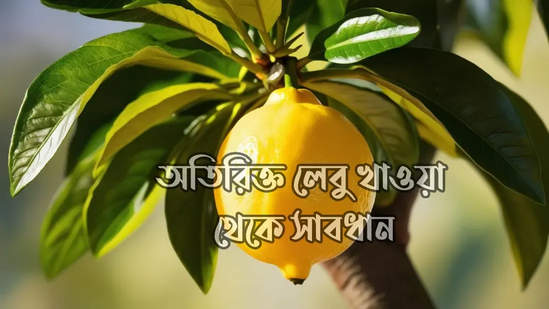 অতিরিক্ত-লেবু-খাওয়া-থেকে-সাবধানতা