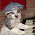 Gifs y animaciones de gatos tocando el piano