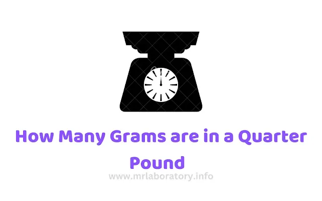 How Many Grams are in a Quarter Pound   - mrlaboratory.info
