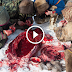 Fascinating Video reveal the life of a tribe who herd reindeer across the Russian tundra 