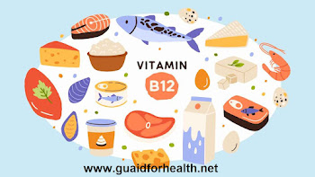 Vitamin B12-Source of vitamin B12