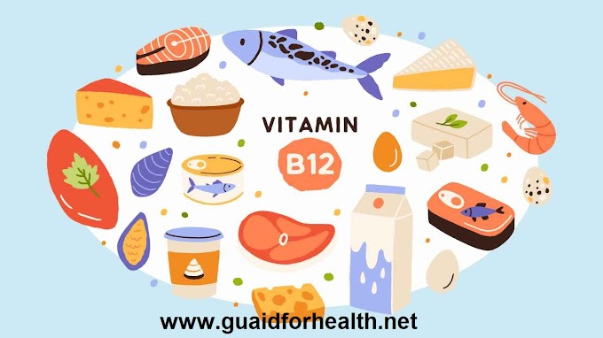 Vitamin B12-Source of vitamin B12