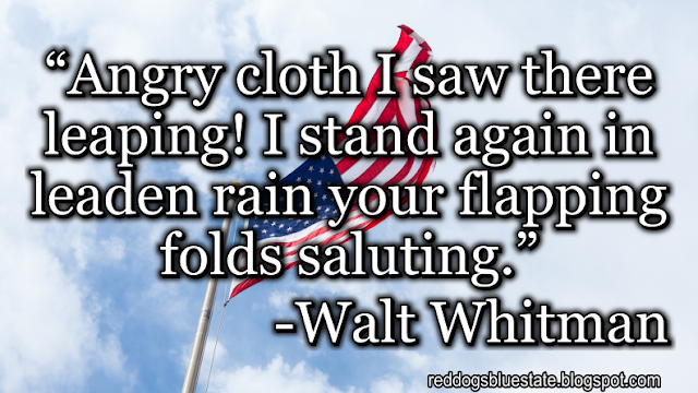 “Angry cloth I saw there leaping! I stand again in leaden rain your flapping folds saluting[.]” -Walt Whitman