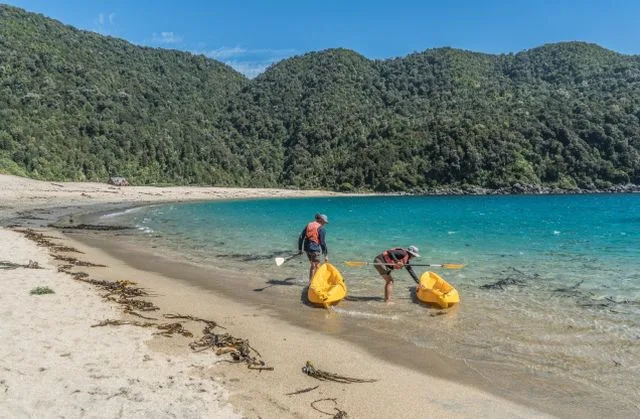 Kayak en Caleta Cóndor