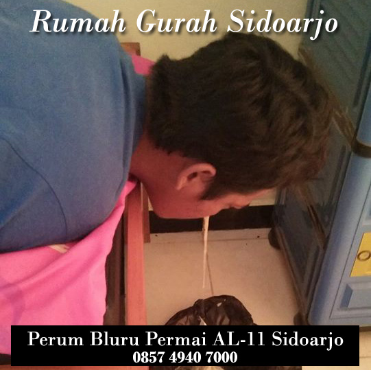 https://rumahgurahsidoarjo.blogspot.co.id/