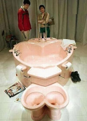 unusual toilets