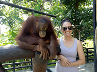 breakfast with orangutans