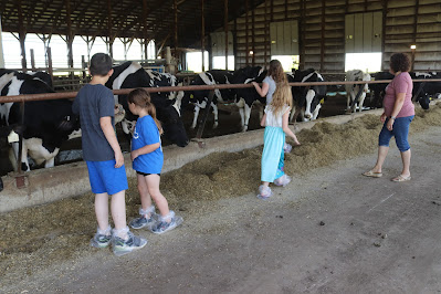 #sleepwiththecows at New Day Dairy Guestbarn in Clarksville, Iowa