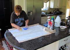 1307146 July 28 Barb Scrubbing Roman Shade Lining