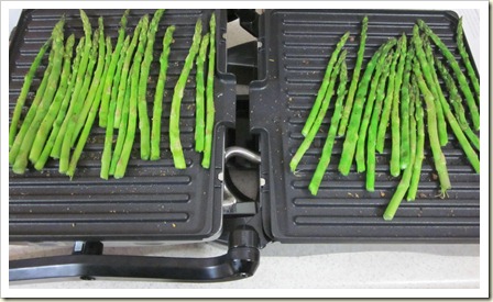 2011-01-18 George Foreman Grill 001