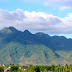 Makiling Tree Planting and Rehabilitation 2010