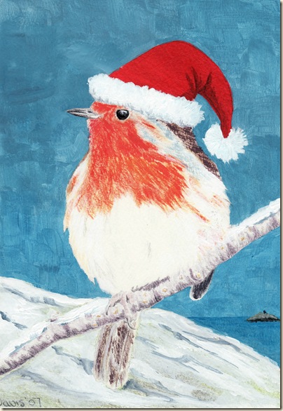 Robin Xmas card-1