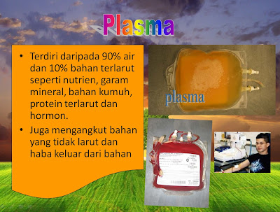 kandungan darah manusia : plasma