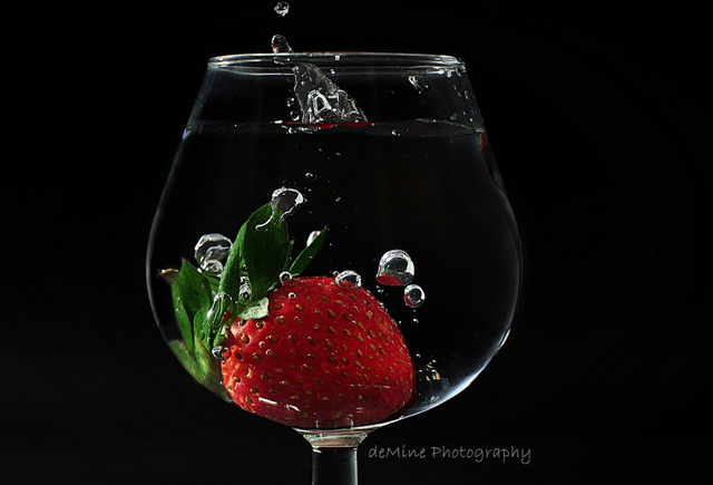 still life photographs