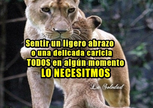 ¿Por que será esto cierto? ¿Qué tan difícil es vivir tu vida sin esperar nada a cambio? Sin pertenecer a nadie, sin tener que rendir cuentas a nadie. Creo que la respuesta todos lo sabemos: La compañía; el ¡sentir un ligero abrazo o un suave beso o una delicada caricia es algo que TODOS en algún momento! de nuestra vida lo necesitamos.   La libertad es algo muy 'tuyo' cuídalo, pero no abuses de ella pues no sabes en que momento puedes necesitar a alguien; a ese ser especial que te hará sentir como si realmente pudieras volar. El hombre es un "animal social" por eso vivir aislados va contra nuestra naturaleza. El Día del Animal o Día Mundial de los Animales se celebra cada año el 4 de octubre.