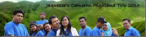 banner copy