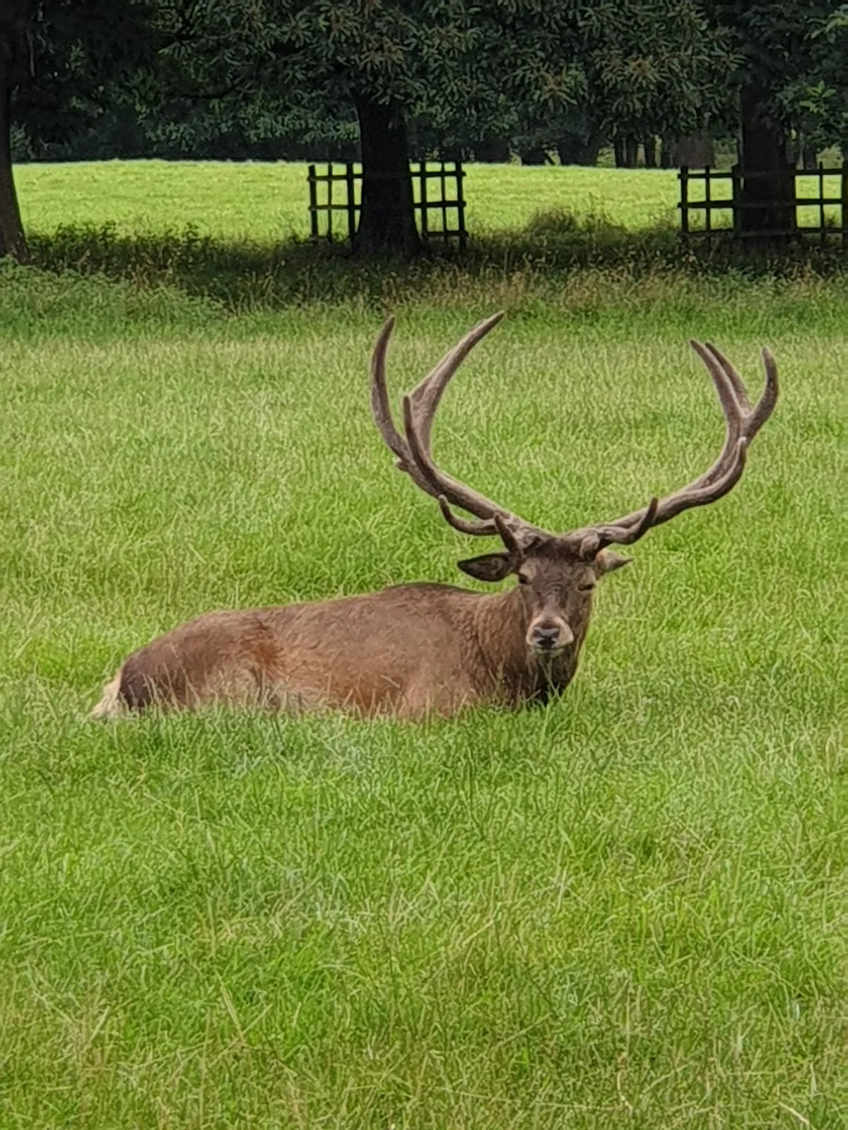 A Walk Around Wollaton Hall In Nottingham