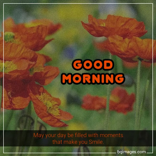 smile good morning quotes