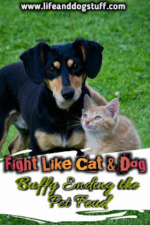 Fight Like Cat and Dog - Ending the Pet Feud