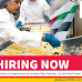 Exciting Job Opportunities at Emirates Flight Catering – Join the Team Today!