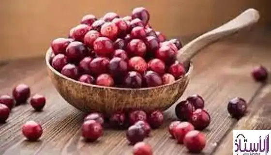 Benefits-of-cranberry-for-the-expectant-mother