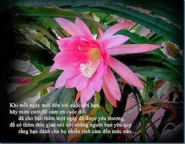 clip_image010