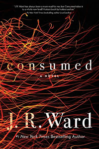 Consumed (1) (Firefighters series)