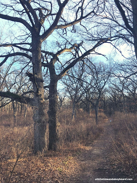 Rolls in the trails at Hickory Grove Highlands provide an extra novelty to the tail.