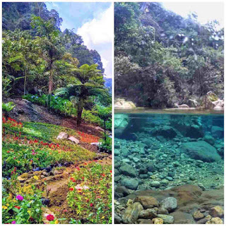 Wisara lembah tepus bogor, lembah tepus ada di mana, tiket lembah tepus bogor, lembah tepus bogor