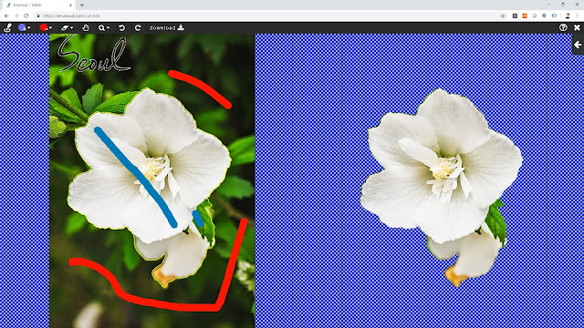 [ Enumcut ] White Rose of Sharon(Flower) Photo - Remove Background From Image (Example: Movie)