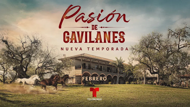 Febrero 2020 Telemundo