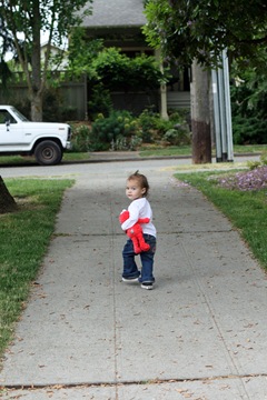 IMG_1650 copy