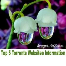 Top-5-torrents-websites