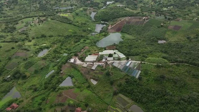 Esposa de empresário suspeito de golpe de R$ 120 milhões com cultivo de hortaliças também é investigada