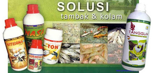 obat untuk ikan gurame