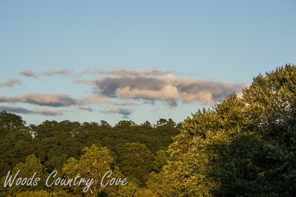 AUGUST 2015 (38 of 75)