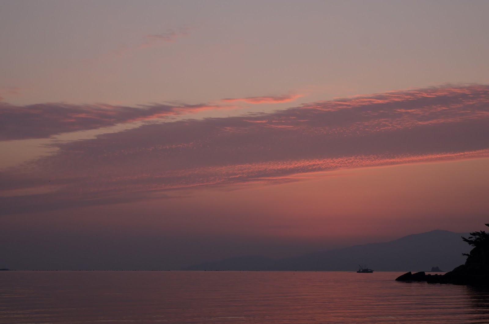 老人と瀬戸内海 のんびりと散歩しながら朝日を撮影です 瀬戸内海の日の出は素敵です