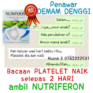 Ubat demam denggi