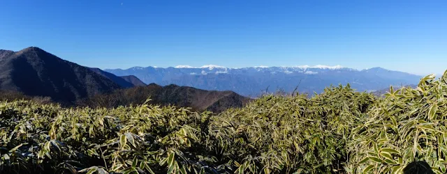 山梨百名山・竜ヶ岳から望む南アルプス