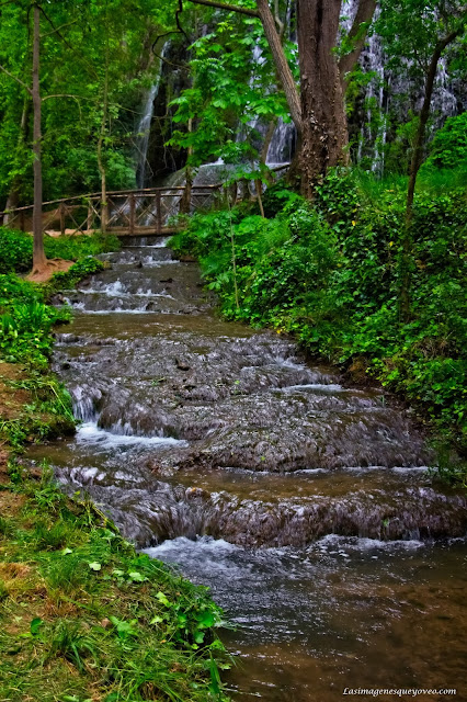 Parque Natural del Monasterio de Piedra