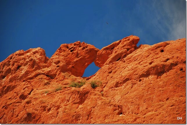 06-16-14 A Garden of the Gods (24)
