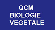  CORRIGE DE L’EXAMEN DE BIOLOGIE VEGETALE