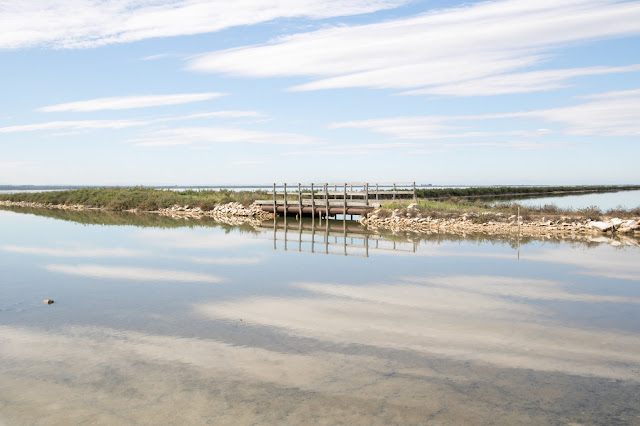 Saline di Margherita di Savoia