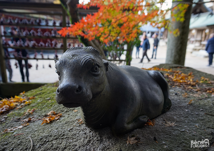 Dazaifu Tenmangu - Dazaifu, Fukuoka