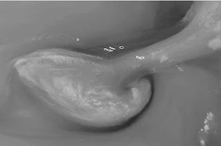 Tropischer Sturm NADINE bei den Azoren wird noch einmal stärker, Azoren, Nadine, aktuell, Satellitenbild Satellitenbilder, Vorhersage Forecast Prognose, Hurrikansaison 2012, Atlantische Hurrikansaison, September, 2012, 