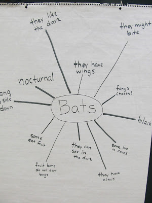 Anchor chart, bats, hand writing, brain map, fine motor