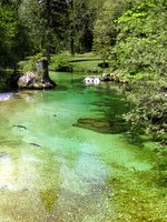 Savica pred izlivom v jezero