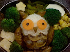 owl bento